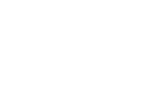 Rey Solar